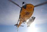 IMG_0910