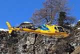 IMG_0982