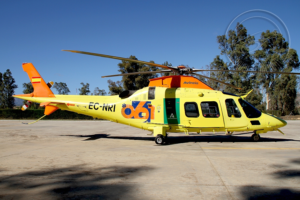 EC-NRI.JPG