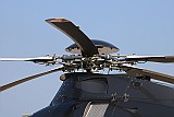 IMG_9296