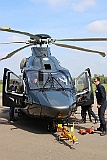 IMG_0798