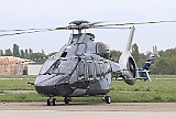 IMG_8441