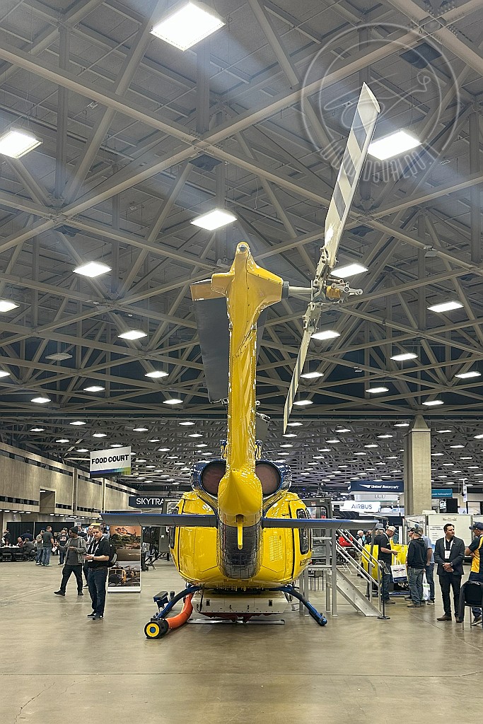 8112.jpg