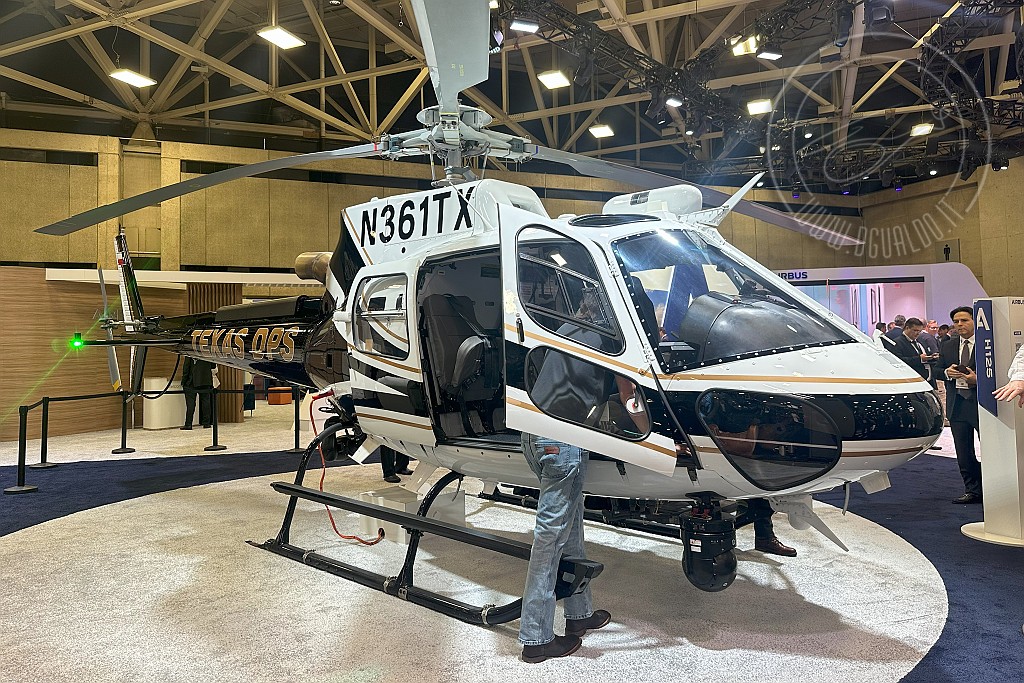 8119.jpg