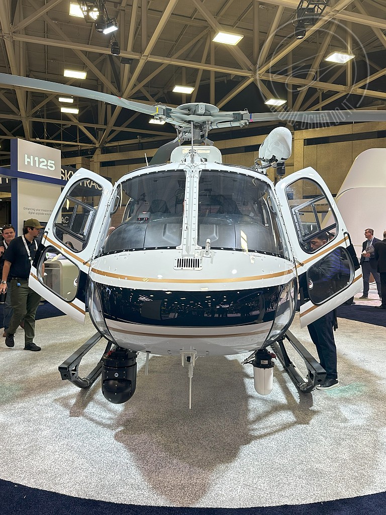 8151.jpg