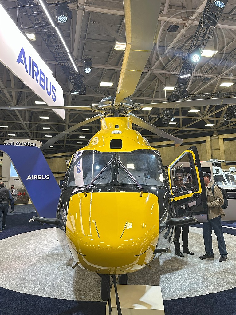 8164.jpg