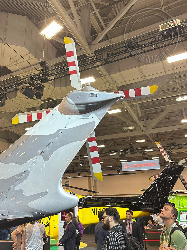 8172.jpg