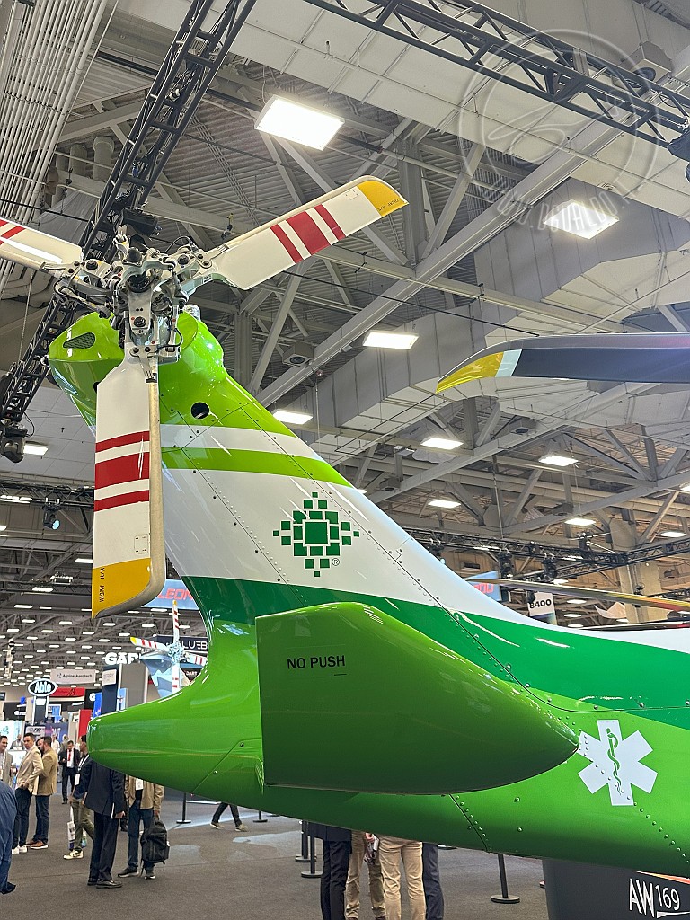 8175.jpg