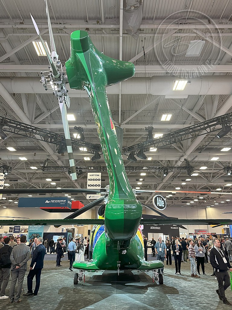 8195.jpg